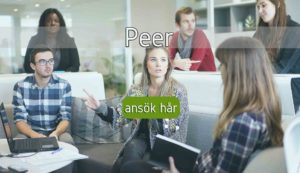 Peer